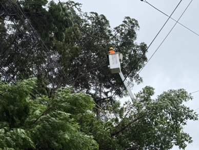 巴威颱風來襲台中地區停電2,354戶台電積極搶修中