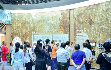 興仁市實地考察薏仁米產業