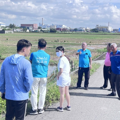梧棲大排閘門未防漲潮致海水倒灌二期新稻慘遭海水淹沒
