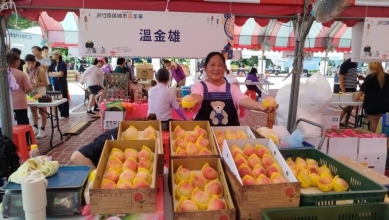 品嚐香甜水蜜桃不必跑後山   新竹縣府廣場原民嘉年華就買得到！