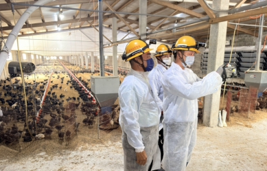 紅霞海警發布！台電巡檢養殖場　籲備妥發電機防停電災損