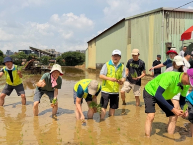 鋤禾日當午  汗滴禾下土   桃郵邀保戶體驗插秧   吳進益：盤中飧粒粒皆辛苦