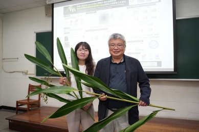 興大研究破解月桃抗老關鍵  植物細胞外囊泡修復肌膚、提升細胞能量