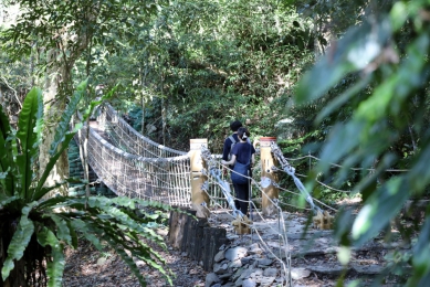 深入泰雅獵徑秘境！中市雪山坑登山步道榮獲2026國家卓越建設獎「金質獎」