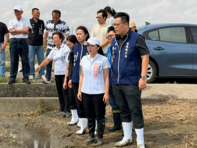 豪雨狂灌農田成災！雲林玉米倒伏、甘藷泡水急求救