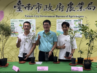 新制造林獎勵金最高60萬 舊制轉新制期限只到今年底