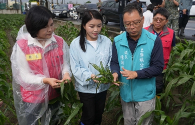 薔琵颱風強風重創雲林農作　張麗善縣長：爭取全品項現金救助