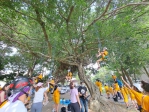中市大秀國小另類迎暑假學童合作學攀樹
