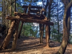 八仙山國家森林遊樂區夏日提早開園   更備有愛心國產竹材登山杖借用貼心服務