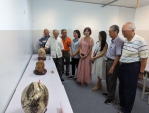 收藏家楊春娥「魚蟹藝雕化石展」在學甲藝文展示館歡迎同好前往觀賞