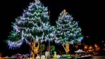 2023山谷燈光節試燈遊客搶先欣賞  30日點亮全台海拔最高的聖誕樹