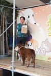 民進黨黨主席賴清德與市議員江肇國  參與挺毛孩寵物市集派對活動