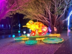 新春台中激推遊程  中央公園賞燈秀快來拍一波