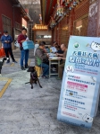 全面提升防護！中市犬貓狂犬病疫苗、晶片巡迴注射3月5日開跑