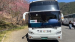 武陵櫻花季交通聯票搶手  374班次賞櫻專車疏運奏效