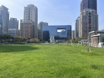 中市建設局導入專業球場級草皮養護技術  公園草地翠綠成效良好
