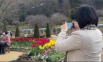 縣長張麗善親臨日本足利花卉公園　為雲林觀光休閒景點注入新的元素