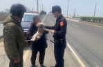 郭婦帶愛犬購物毛小孩卻走失　油車警熱心調閱監視器尋回