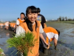 大安國中插秧體驗活動  年輕學童學習對食物、生產者和環境的尊重與感恩