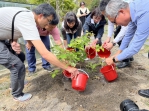 搶救瀕危植物槲櫟   新竹市府攜手林業保育署推動認養