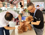 狂犬病預防注射及寵物登記巡迴  新竹縣尖石北埔免費開打
