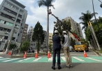 新竹市超前部署  汛期前 行道樹大修整  防範未然