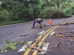 凌晨太平山區暴雨樹倒   警排除路障護路人