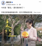 高虹安貼文提醒夏至適度補充水分  手捧可口芒果冰變亮點   原來是AI生成！