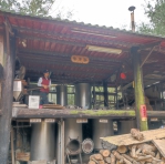 跟著三貓一起慢遊三義  找尋香茅的蹤跡！