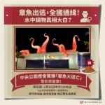 「章魚大逃亡」全國通緝！水中鍋物燈組離奇失蹤  真相即將揭曉