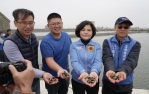 （影音）／雲林攜手屏科大提升文蛤養殖技術　產量激增近四成 擴大推廣全縣