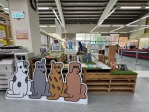 關心浪浪的一定要來！新竹縣文化局圖書館正在展出流浪動物書展