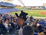 MLB及喔熊組長齊出動 現身挺中職熱身賽!