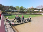 新竹市青草湖布袋蓮大量繁衍   衝擊生態   市府展開清除作業