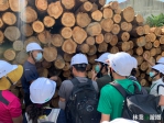 林業森遊圈系列活動5月五峰登場   新竹林業分署歡迎深度體驗林場作業