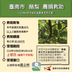 3月中旬低溫干擾臺南市酪梨著果情形 5月8日至5月21日受理現金救助申請