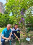 為綠色環保盡一份心力 中國醫藥大學洪明奇校長、林昭庚院士認養台中「育德園道」花木