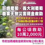 中市葡萄災損   6月17日前可申請現金救助