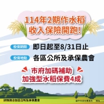 二期水稻收入保險開始投保   中市農業局加碼補助