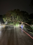 丹娜絲颱風尾掃倒6米高路樹  烏日警冒雨鋸樹與民徒手搬運排除