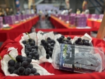 台中葡萄永續果品評鑑 總獎金逾32萬元 第一階段果品評鑑結果揭曉