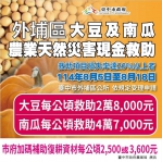 中市外埔區大豆及南瓜災損 8/18前可申請現金救助