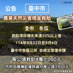 中市冬瓜災損   9月4日前可申請現金救助