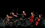 從音符聽見故事，TC國際室內樂系列9月歌劇院登場