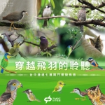 全球首創！中捷閘門鳥鳴音躍上國際舞台