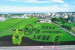 苑裡彩繪稻田「天茶地酒山盟海寺」熱力登場，超好拍，藏驚喜彩蛋！
