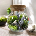 一草一木一世界   歡迎「把森林帶回家」  新竹分署暖心開辦療癒系手作體驗