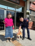 科技神助攻！柴犬離家探險   烏日警10分鐘尋回