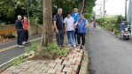 樹根掀翻潭雅神綠園道鋪面   立委楊瓊瓔、市議員羅永珍爭取翻新神林站周邊人行道