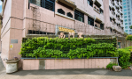 灰牆變花園！南門里攜手打造「樹木銀行」 種下城市的綠色風景